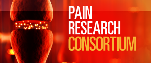 Pain Research Consortium Conference Banner